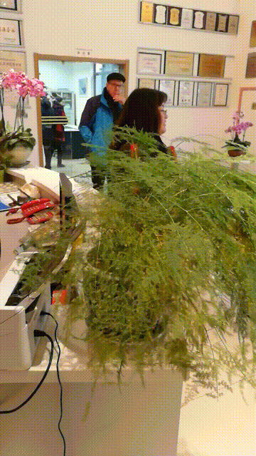 熱情洋溢的打鼓手們