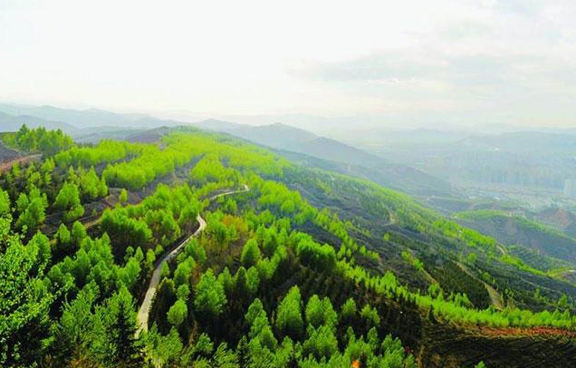 【世界防治荒漠化和干旱日】依斯倍環(huán)保一直在行動(dòng)